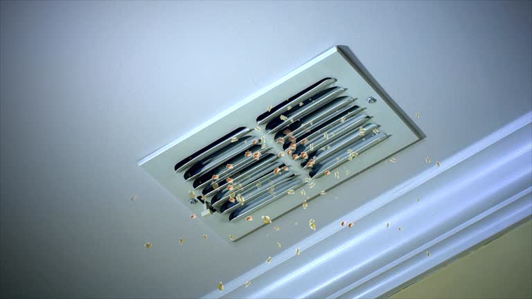Best Air Duct Cleaning Near Me  in Brazil, IN